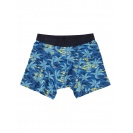 Pánské Boxerky Quiksilver Island - IMPOSTER C