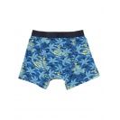 Pánské Boxerky Quiksilver Island - IMPOSTER C